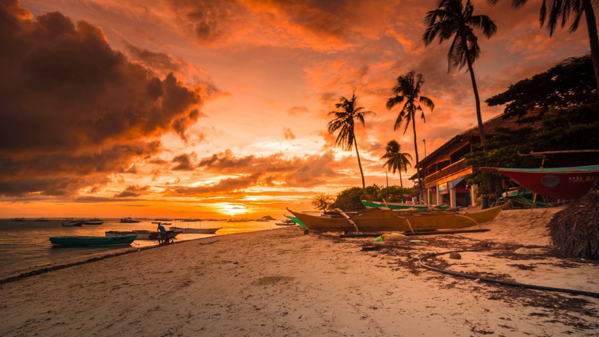 A tropical beach at sunset. 
