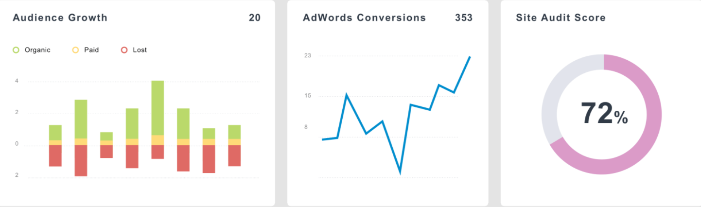 AgencyAnalytics capture