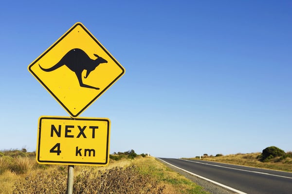 beware-of-kangaroos-road-sign