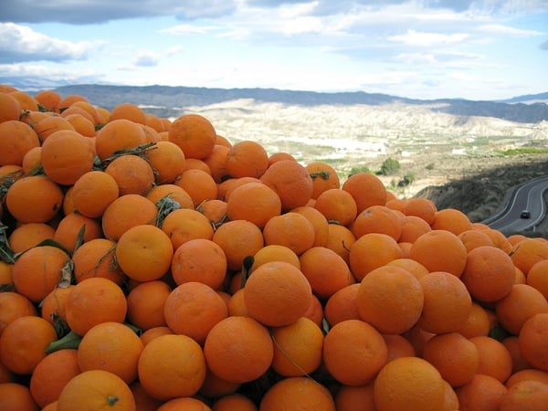 spanish-oranges-and-hillside