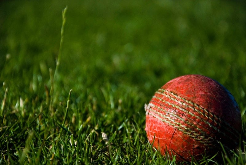 A cricket ball in the grass.