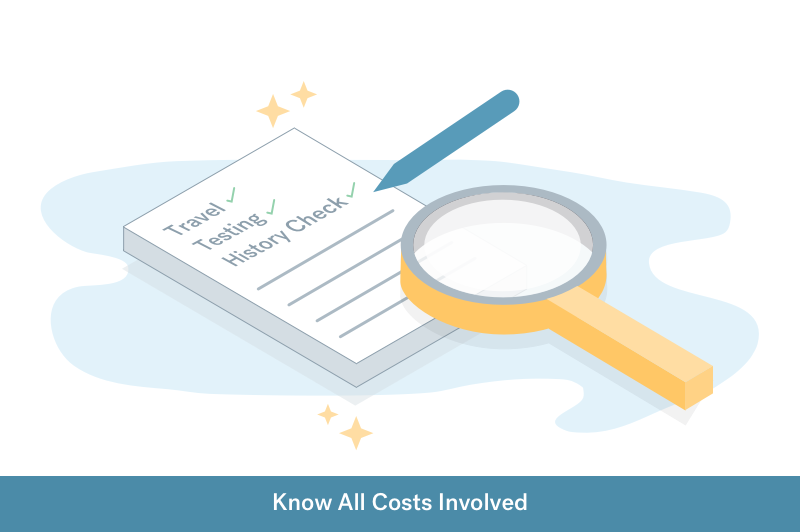 illustration of checklist of costs to importing a uk car into ireland