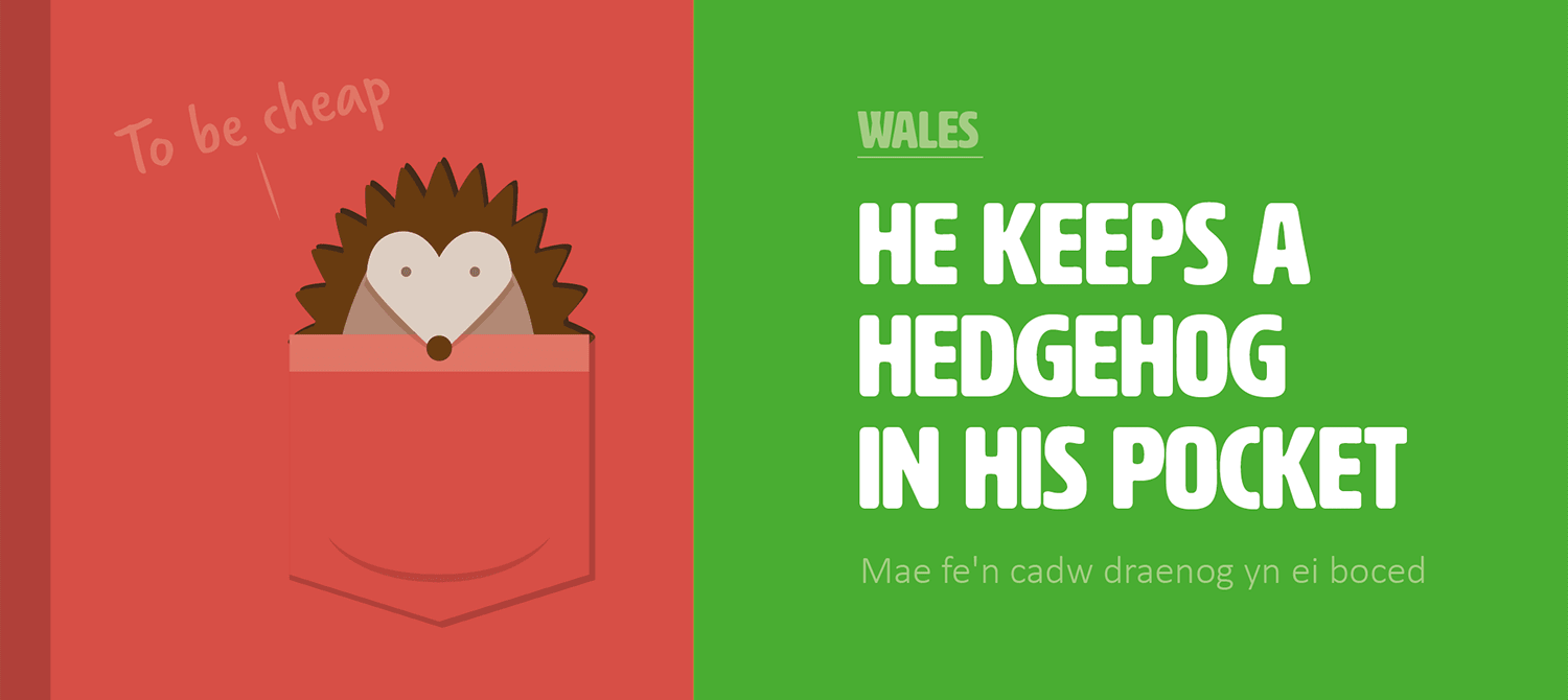 cost-in-translation-hedgehog