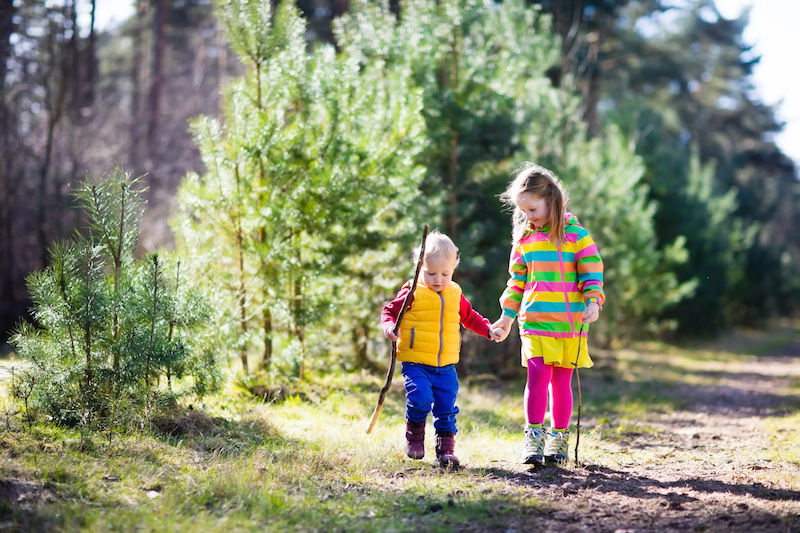 children walking hand in hand in forest