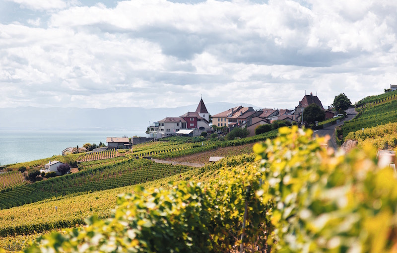 swiss fields and village