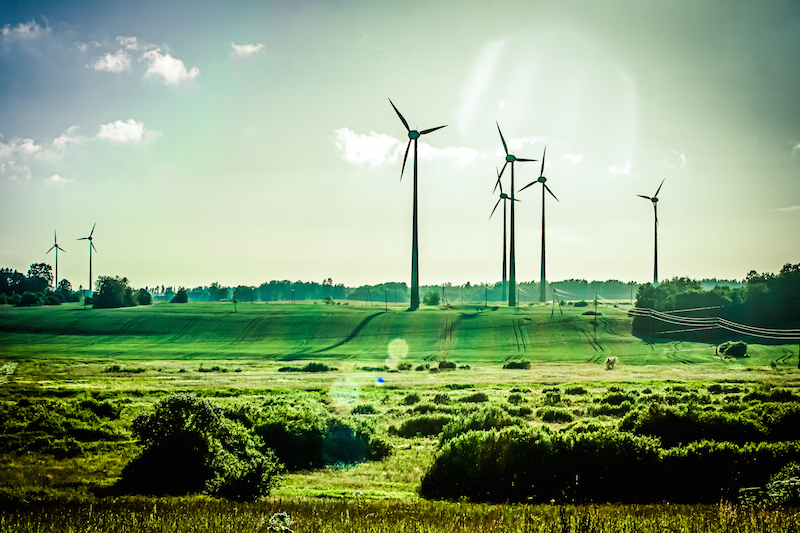Leading the World to a Sustainable Future: Top Green EU Countries